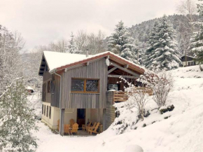 Chalet confortable, proche des pistes de ski, avec jardin, terrasses couvertes et Wi-Fi à La Bresse - FR-1-589-86 La Bresse